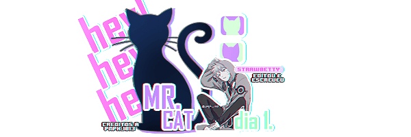 HEY MR CAT 25397220 250120241010